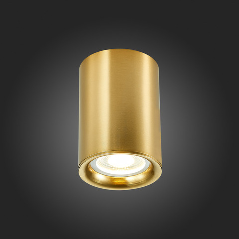 Светильник потолочный ST Luce ST114.207.01