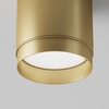 Потолочный светильник Maytoni Polar C088CL-GX53-MG