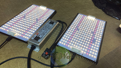 LED светильник Quantum FR + IR + UV 240W lm301b + Pro