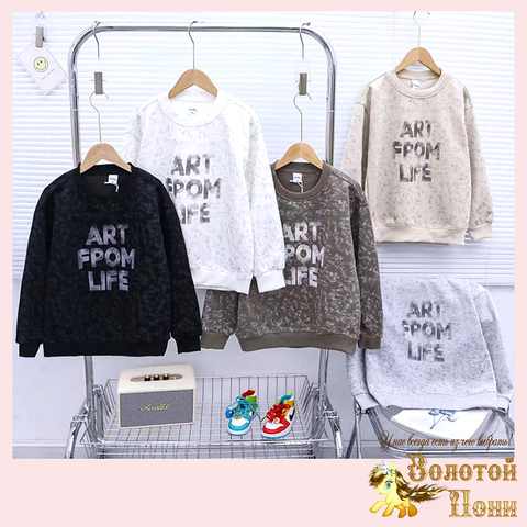 Свитшот хлопок м (7-12) 250824-G6145