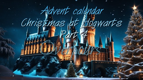 Advent calendar Christmas at Hogwarts part 4 MYSTERY OVERPOURS