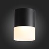 Светильник потолочный ST Luce ST100.442.15