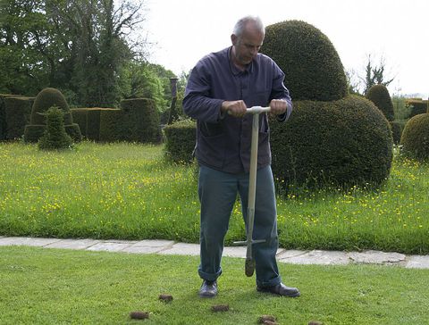 Сажалка для луковичных Great Dixter Sneeboer