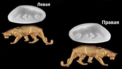 Два силиконовых молда набор Пума левая и правая