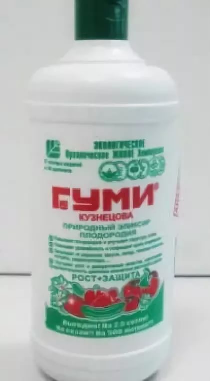 Гуми вокалоид вики. Гуми город. Gumi вокалоид. Вокалоиды гуми. Gumi vocaloid.