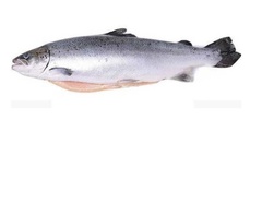 Лосось тушка зам. 4~5кг