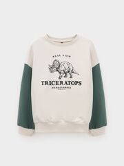 джемпер  для мальчика  КР 302851/светло-бежевый 0783 к606