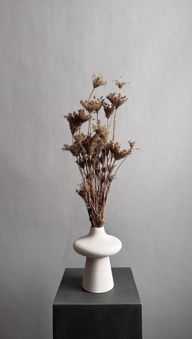 Фенхель натуральный