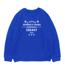 Свитшот "В случае нервного срыва"