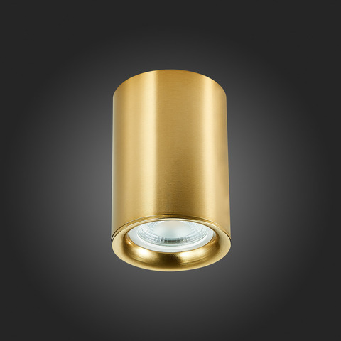 Светильник потолочный ST Luce ST114.207.01