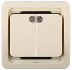 СВЕТОЗАР Гамма, двухклавишный, с подсветкой, цвет бежевый, 10 А/~250 В, электрический выключатель (SV-54135-B)