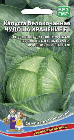 Капуста Чудо на хранение