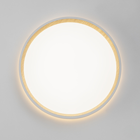 Потолочный светодиодный светильник Citilux ETALON CL750240