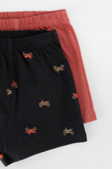 трусы/ уп  для мальчика  К 1930-2уп/пыльный кедр,угольный серый,мотоциклы