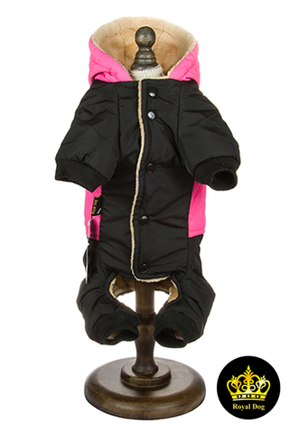 Royal Dog костюм спортивный зимний XS