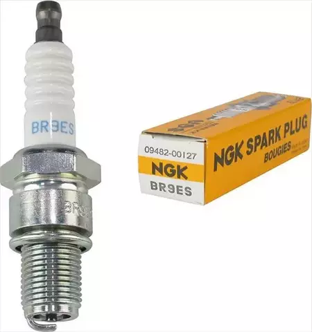 Свеча зажигания NGK   3194   BR9ES /фиксированная контактная гайка