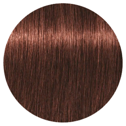 Schwarzkopf Igora Royal New 5-68 (Светлый коричневый шоколадный красный) - Краска для волос