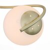Люстра потолочная Evoluce Delicata SL711.202.04