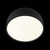 Потолочный светильник Loft It Axel 10201/350 Black