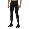 Тайтсы Asics Tiger / Stripe Tight мужские