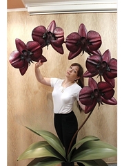 Молд пластиковый Набор 