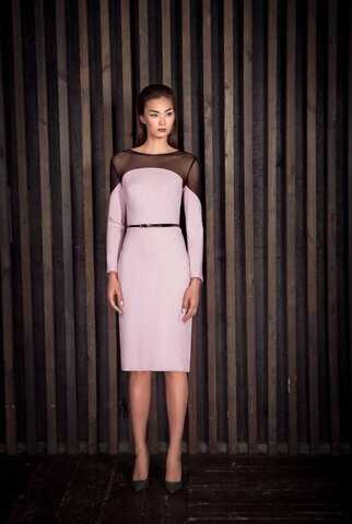 Fall/Winter 2017 Basic