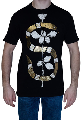 Футболка мужская TS2798B The Saints Sinphony вид спереди