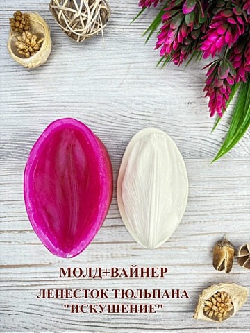 Молд+Вайнер 