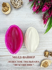 Молд+Вайнер 