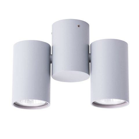 Светильник точечный Arte Lamp Gavroche A1511PL-2GY