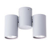 Светильник точечный Arte Lamp Gavroche A1511PL-2GY