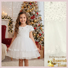Платье нарядное (1-6) 251020-NG1013