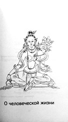 Солнце Учения. 365 медитаций на каждый день (электронная книга)