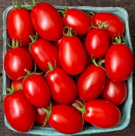 Томат Маунтин