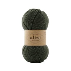 Wooltime Alize 873 плющ