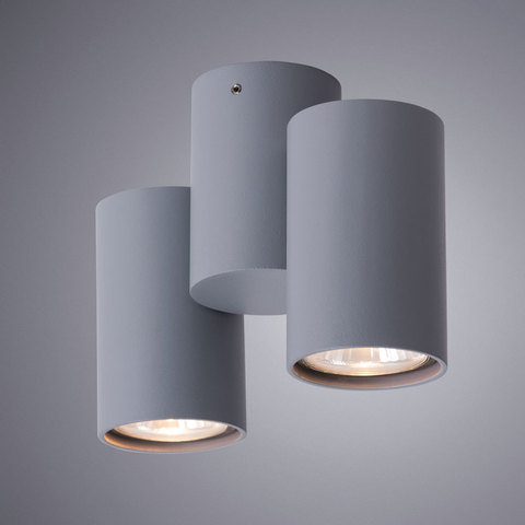 Светильник точечный Arte Lamp Gavroche A1511PL-2GY
