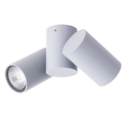 Светильник точечный Arte Lamp Gavroche A1511PL-2GY