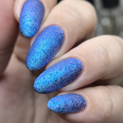 He Likes It Cold (LE)