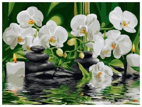 Картина по номерам Орхидеи
