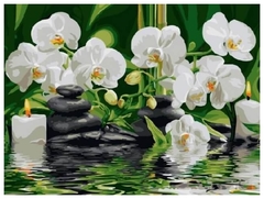 Картина по номерам Орхидеи
