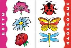 Школа Семи Гномов 