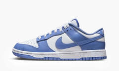 Nike Dunk Low "Polar Blue"