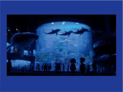 The Color of Pixar