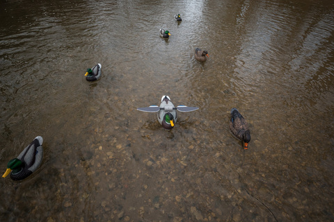 Чучело кряквы Lucky Duck с вращающимися крыльями Lucky HD Floater (селезень)