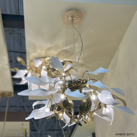 Подвесная люстра Crystal Lux STEFANIA SP6R