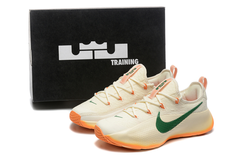 Nike LeBron TR 1 'FAMU' PE 