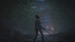 WUCHANG: Fallen Feathers (для ПК, цифровой код доступа)