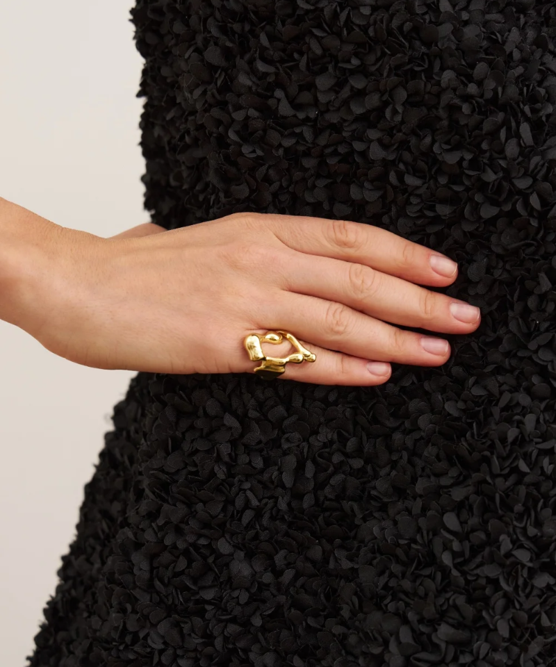 Перстень Клякса