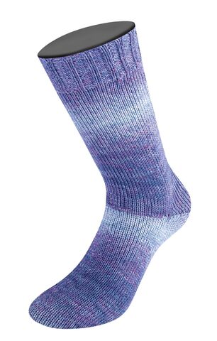 Lana Grossa Meilenweit Woolycell Duo 6004