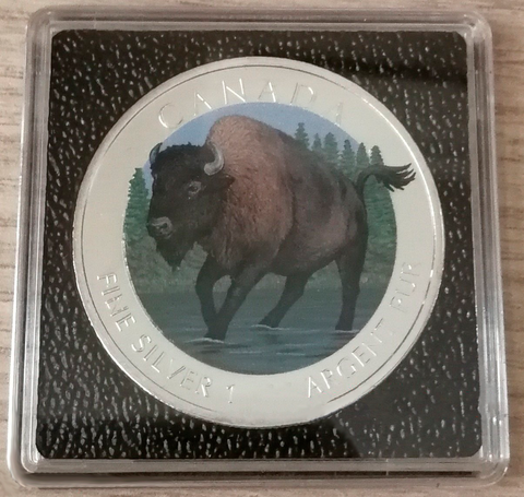 Канада 2013, 5 долларов, серебро. Лесной бизон, цветная